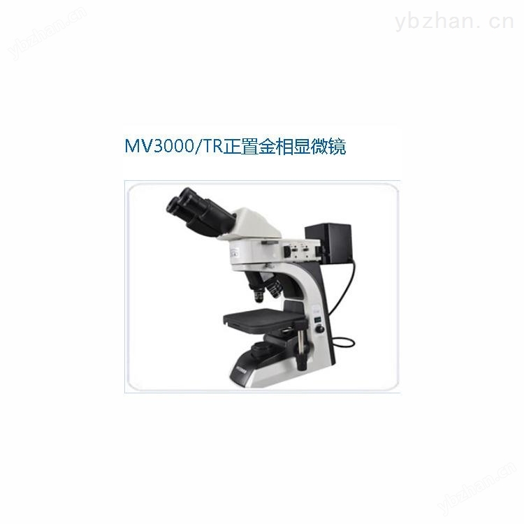CQ9电子官网电子显微镜生产商_显微镜厂家_规格多种